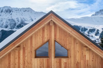Cedar Shingle Siding Repair — Cost of Cedar Shingle Siding Repair